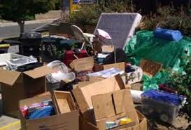 Sheepdog Hauling Professional Junk Removal in Daytona Beach